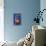 Spirits, Gin, Vodka, Holland and Zubrovka-null-Stretched Canvas displayed on a wall