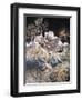 Spirits In Sleepy Hollow-Arthur Rackham-Framed Giclee Print