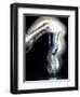 Spirits-Ursula Abresch-Framed Premium Photographic Print