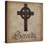 Spiritual Pack Serenity-Mindy Sommers-Stretched Canvas