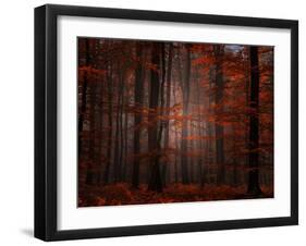 Spiritual Wood-Philippe Sainte-Laudy-Framed Photographic Print