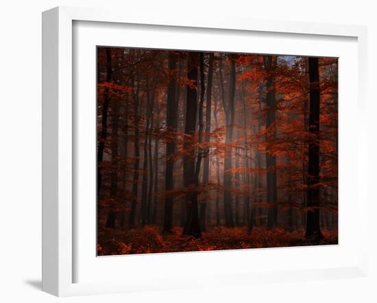 Spiritual Wood-Philippe Sainte-Laudy-Framed Photographic Print