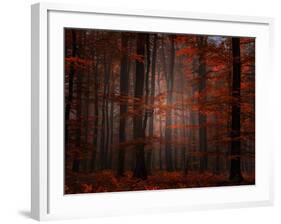 Spiritual Wood-Philippe Sainte-Laudy-Framed Photographic Print