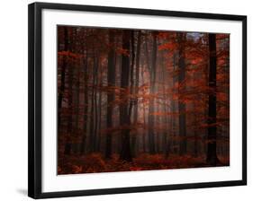 Spiritual Wood-Philippe Sainte-Laudy-Framed Photographic Print