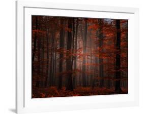 Spiritual Wood-Philippe Sainte-Laudy-Framed Photographic Print