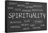 Spirituality Word Cloud-IJdema-Framed Stretched Canvas