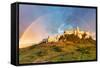 Spissky Castle, Slovakia-TTstudio-Framed Stretched Canvas