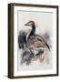 Spitalfields Goose, 1997-Mark Adlington-Framed Giclee Print