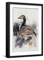 Spitalfields Goose, 1997-Mark Adlington-Framed Giclee Print