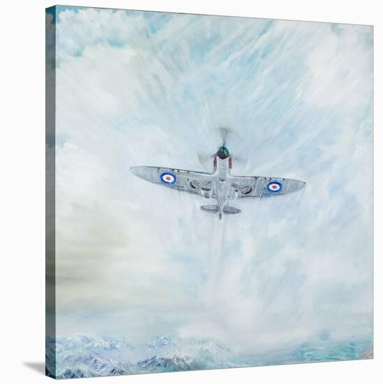 Spitfire 'Ace of Spades', 2016-Vincent Alexander Booth-Stretched Canvas