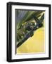 Spitfire and Doodle Bug-Wilf Hardy-Framed Giclee Print