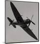 Spitfire in Flight-null-Mounted Art Print