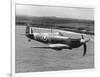 Spitfire in Flight-null-Framed Photographic Print