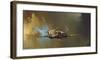 Spitfire-Barrie A F Clark-Framed Art Print