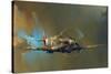 Spitfire-Barrie Clark-Stretched Canvas