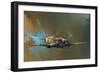 Spitfire-Barrie Clark-Framed Art Print