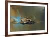 Spitfire-Barrie Clark-Framed Art Print