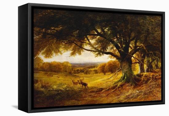 Spithead, Uppark, Sussex-George Cole-Framed Stretched Canvas