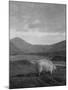 Spittal of Glenshee-Emil Otto Hoppé-Mounted Photographic Print