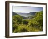 Spitz an Der Donau, Vineyards, Wachau, Lower Austria, Austria-Rainer Mirau-Framed Photographic Print