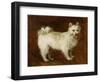 Spitz Dog, c.1760-70-Thomas Gainsborough-Framed Giclee Print