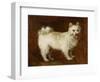 Spitz Dog, c.1760-70-Thomas Gainsborough-Framed Giclee Print