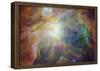 Spitzer and Hubble Create Colorful Masterpiece Space Photo Art Poster Print-null-Framed Poster