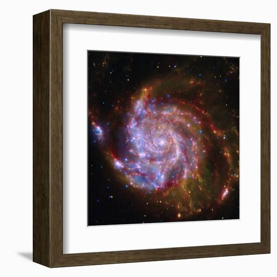 Spitzer-Hubble-Chandra Composite of M101-null-Framed Art Print