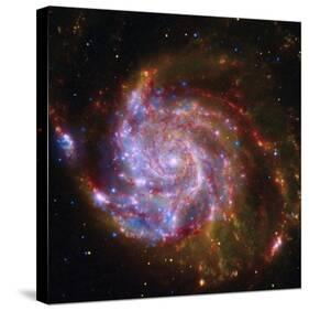 Spitzer-Hubble-Chandra Composite of M101-null-Stretched Canvas