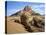 Spitzkoppe, 1728M, Between Windhoek and Shakapmund, Damaraland, Namibia, Africa-Renner Geoff-Stretched Canvas