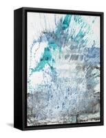 Splash Down-Tyson Estes-Framed Stretched Canvas