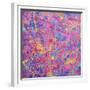 Splash I-Abstract Graffiti-Framed Giclee Print