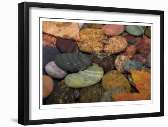 Splash in a Stream-Donald Paulson-Framed Giclee Print