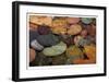 Splash in a Stream-Donald Paulson-Framed Giclee Print