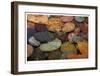 Splash in a Stream-Donald Paulson-Framed Giclee Print