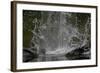 Splash in Water Made by Osprey (Pandion Haliaetus) Fishing, Kangasala, Finland, August 2009-Cairns-Framed Photographic Print