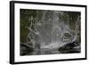 Splash in Water Made by Osprey (Pandion Haliaetus) Fishing, Kangasala, Finland, August 2009-Cairns-Framed Photographic Print