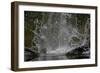 Splash in Water Made by Osprey (Pandion Haliaetus) Fishing, Kangasala, Finland, August 2009-Cairns-Framed Photographic Print