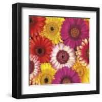 Splash of Color I-Assaf Frank-Framed Art Print