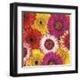 Splash of Color I-Assaf Frank-Framed Art Print