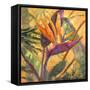 Splash of the Tropics I-Nanette Oleson-Framed Stretched Canvas