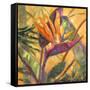 Splash of the Tropics I-Nanette Oleson-Framed Stretched Canvas