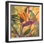 Splash of the Tropics I-Nanette Oleson-Framed Art Print