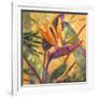 Splash of the Tropics I-Nanette Oleson-Framed Art Print