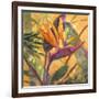 Splash of the Tropics I-Nanette Oleson-Framed Art Print