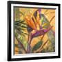 Splash of the Tropics I-Nanette Oleson-Framed Art Print