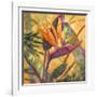 Splash of the Tropics I-Nanette Oleson-Framed Art Print