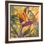 Splash of the Tropics I-Nanette Oleson-Framed Art Print