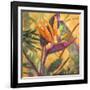 Splash of the Tropics I-Nanette Oleson-Framed Art Print