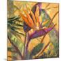 Splash of the Tropics I-Nanette Oleson-Mounted Art Print